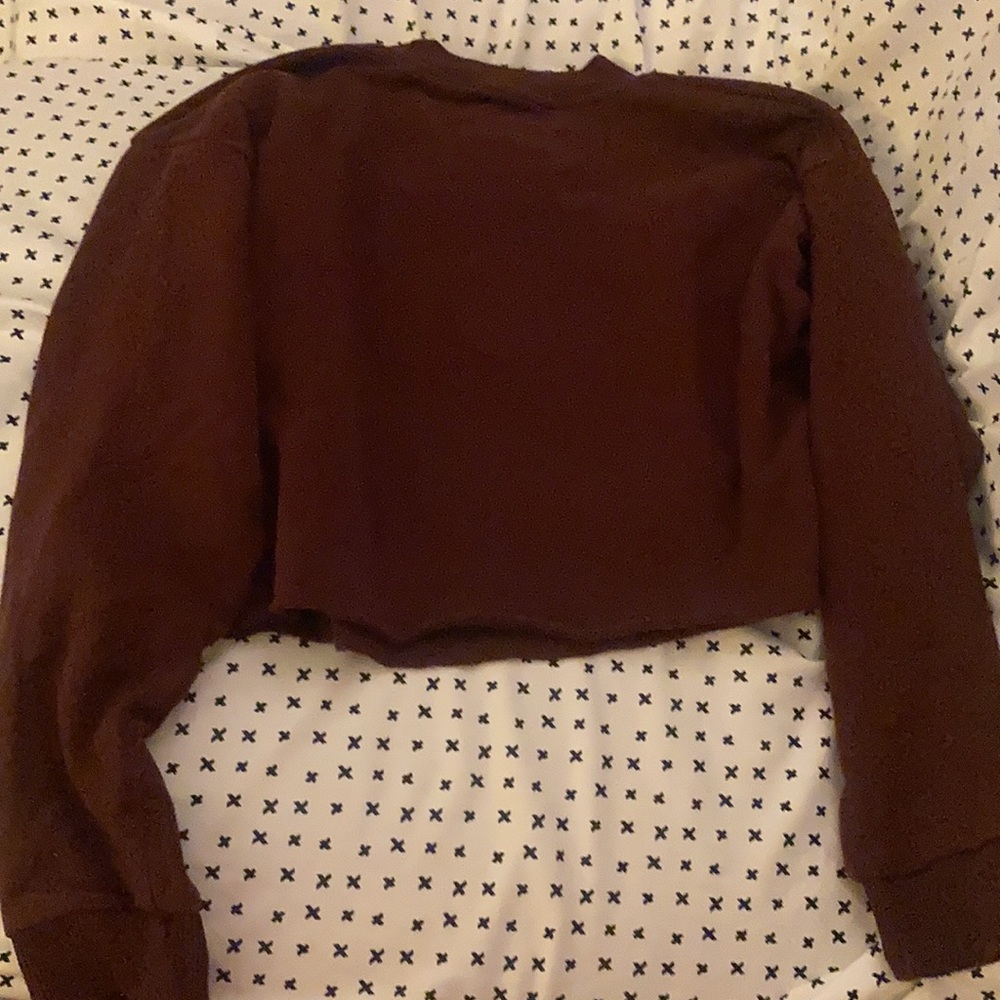 ‼️SOLD‼️American Eagle Cropped Long Sleeve Sweatshirt - Picture 4 of 7